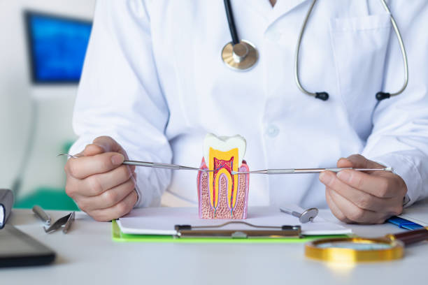 Best Emergency Treatment for Toothache in Seneca, IL